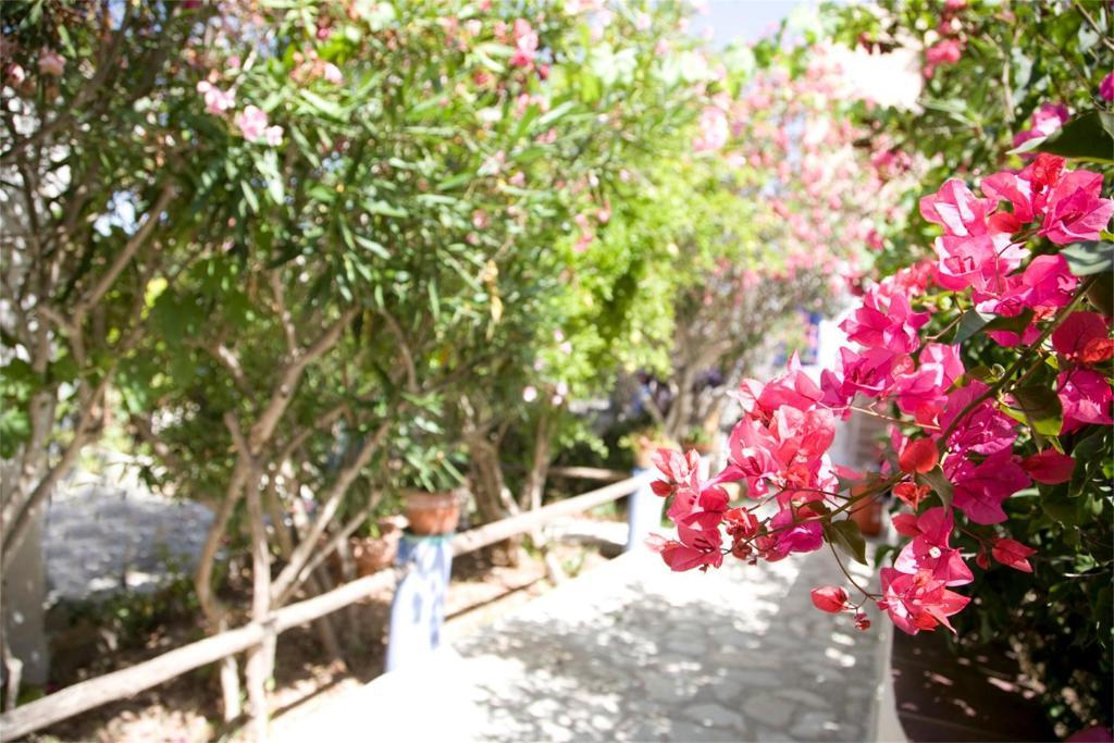L'Oasi Villaggio Albergo ファヴィニャーナ エクステリア 写真